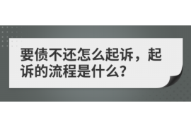 宁津为什么选择专业追讨公司来处理您的债务纠纷？